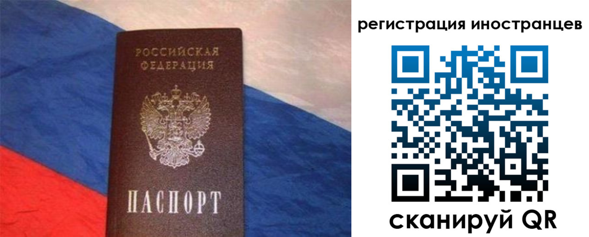 прописка в Фрязино